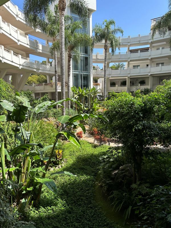 Atrium yard