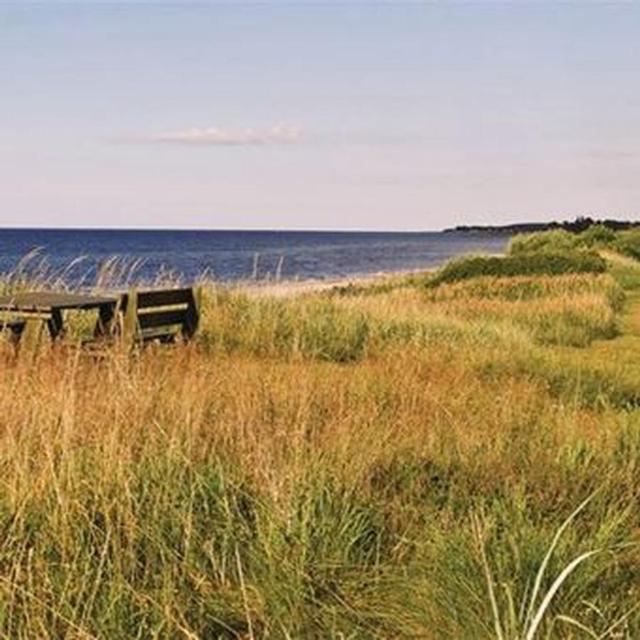 Stille strand - til badning og fiskeri